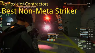 Tom Clancy's The Division 2 Best all Blue Striker Build