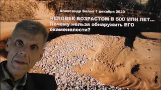 "Человек возрастом 500 миллионов лет"