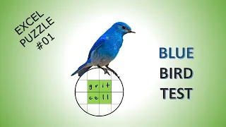 Excel Puzzle : Blue Bird Test