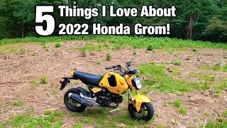 5 Things I Love About My 2022 Honda Grom!