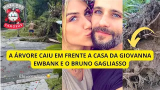 EM FRENTE A CASA DA GIOVANNA EWBANK E BRUNO GAGLIASSO CAIU UMA ÁRVORE