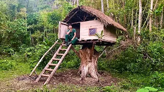 building a house on an old tree, safe and cool /TrungAnh building new life