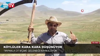 Ağrı'da tırpanla ot biçme geleneği kayboluyor