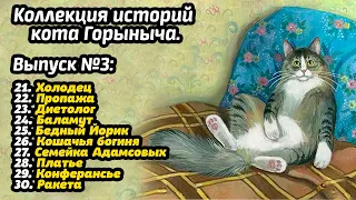 Коллекция историй кота Горыныча. Выпуск №3.