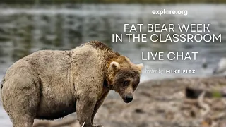 Fat Bear Week In the Classroom 2022