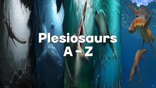 Plesiosaurs A - Z [1 - 156]