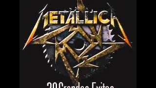 METALLICA 30 GRANDES EXITOS