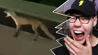 Reacting to UNUSUAL MEMES COMPILATION V194