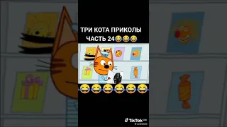 приколы про три кота из тик тока😂😂