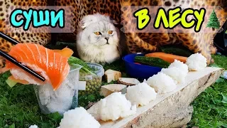 ВЫЖИВАЕМ В ЛЕСУ С КОТОМ И СОБАКОЙ! ГОТОВИМ СУШИ НА ПОЛЯНКЕ!!