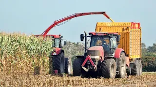 corn silage with 3x case and tractor chopper