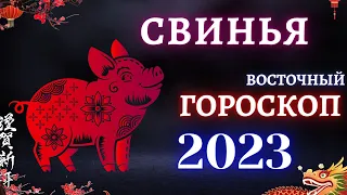 СВИНЬЯ - КИТАЙСКИЙ ГОРОСКОП НА 2023 ГОД .