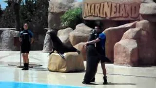 marineland - zalubenci.avi