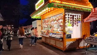 NUREMBERG Evening City Walk 2021 GERMANY • Real Time Virtual Walking Tour 4K ASMR