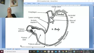 Esophageal disorders in Arabic 4 ( Gastro-esophageal reflux disease , part 1 ) , by Dr. Wahdan.