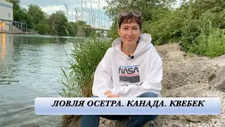 Рыбалка на осетра. Канада. Квебек.