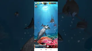 BOSS fish gray whale bering sea Recomande LV 30 kail pancing