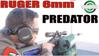 1000 Yard Gun For Under $500!? | The Ruger American Predator in 6mm