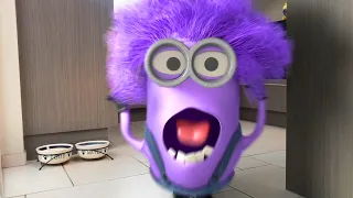 💜🍌Minions Animation in Real Life 🍌💜Amazing Video !!