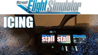 Microsoft Flight Sim 2020 - Icing simulation?