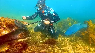 POLICE HELP People after Metal Detecting UNDERWATER with 3 SHARKS!!