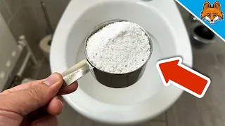 Dump Washing Powder in your Toilet and WATCH WHAT HAPPENS💥(Amazing)🤯