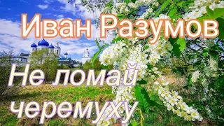 Иван Разумов - Не ломай черемуху 🌸 зажигательная песня 🔥