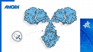 Fast Facts about Biological Drugs - Amgen Science