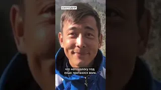 Неожиданная ситуация в горах Кыргызстана…