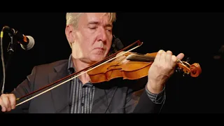 Old Blind Dogs - EDINBURGH TRADFEST 2020 - SIR STEVE HUSKA