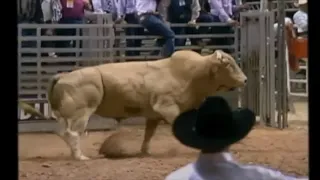 PBR 1994: Bodacious bucks off Clint Branger