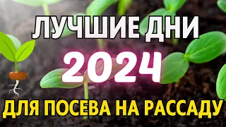 ЯНВАРЬ-ФЕВРАЛЬ 2024. Когда сеять на рассаду 2024. Лунный посевной календарь на январь-февраль 2024