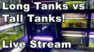 Long Fish Tanks vs Tall Fish Tanks - Which is Better?