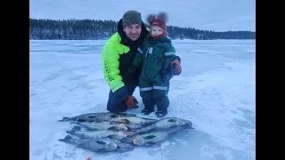 Mukana innokas kalamiehen alku :D Talviverkoilla 10.3.2024