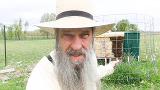 Biggest mistake new Beekeepers make! Newbies listen up...