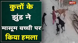 कुत्तों के झुंड ने किया बच्ची पर हमला | CCTV में कैद हुई हैरान करने वाली घटना..देखिए Video