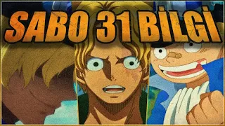 Sanji ile aralarindaki Benzerlikler?  Sabo Hakkinda 31 Bilgi