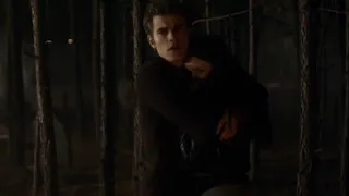 Stefan saves elena from Damon  | The vampire diaries Season 1 Episode 13