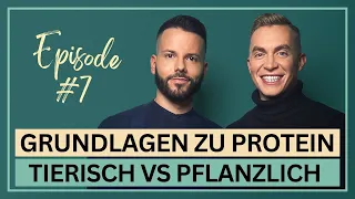 Grundlagen zu Protein: Tierisch vs. pflanzlich • 7. Episode