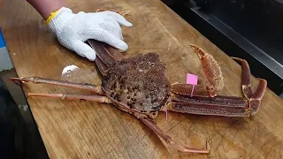 Grown People Only : LIVE Crab Cutting - How To Make Crabs Sashimi