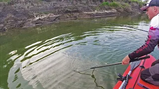 Стоило взять его с собой И РЫБАЛКА ВЫШЛА НЕЗАБЫВАЕМОЙ!!! 🤪 Ловля Щуки и Судака на спиннинг