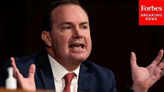 'He Had Done Absolutely Nothing Wrong': Mike Lee Decries Imprisonment Of US Naval Officer