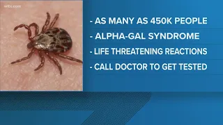 A tick bite that could make you allergic to meat; how to avoid ticks