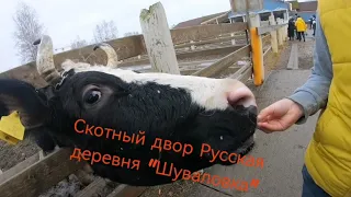 Скотный двор Русская деревня "Шуваловка"