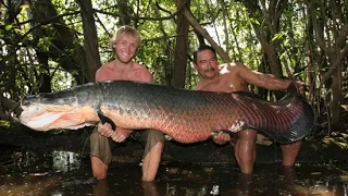 Giant Arapaima in Amazon River Canda - FISH MONSTER HUNTING