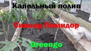 Устройство капельного полива (обзор и отзывы на "Синьор помидор" и "Greengo (Гринго)")