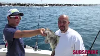 Dan Hernandez on his private fishing charter - Long Beach, CA | SPORT FISHING