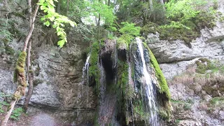 In der Wutachschlucht wandern! (jungwandern.de)