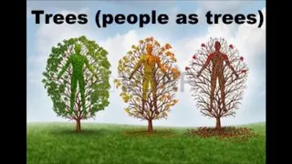 ✞ Trees (Christ, satan and people as trees); in-depth Bible study