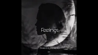 İsmail Uluçay - Feelings (Original Mix)